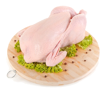 Chicken